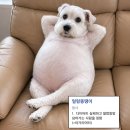 배스킨라빈스대구성서성산점 | 어후 덥다 더워 여름이네