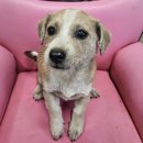 안골로108번길 이미지