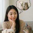 동물보육원 용인지부 이미지