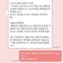 할리타는 커플의 제주 야외 웨딩 스냅 케이살롱 예약후기💞