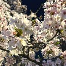 아름찬코리아태권도장 이미지