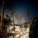 파인빌펜션 | 파인포레스트 글램핑 봄감성 제대로, 가평글램핑 힐링 후기💚