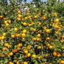 하율농장 이미지