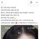 스튜디오 촬영 사전준비(메이크업샵, 조화부케, 케이크, 드레스, 네일, 시술까쥐~)