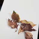 배우기 쉬운 그림 캘리그라피 이미지