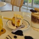 무병짱수 이미지