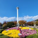 갈맷길 3-2구간(부산진시장~남항대교) 답사... 이미지