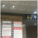 소이네일 이미지