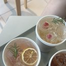 프롬 경주 이미지