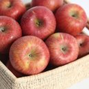 햇살품은 김치 이미지