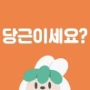 대일마켓 이미지