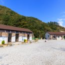 백운일출캠핑장 이미지