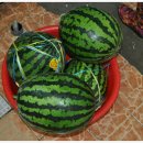 포항적십자나눔터(북구) 이미지