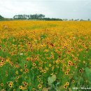 화원관광 이미지