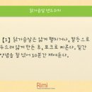 마이레시피