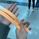 캠핑 일지)#3 부산 캠핑&amp;레저 차량 박람회 방문 후기/경주 산내별빛오토캠핑장(feat. 벚꽃캠 절망편)