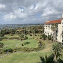 대명(528) 이미지