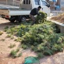 방배초등학교 이미지