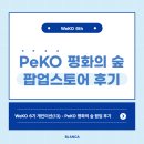 [KOICA WeKO 서포터즈 6기] PeKO 평화의 숲 참여 후기