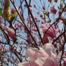 연우꼴 농장 이미지