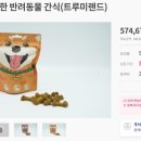 트루미랜드