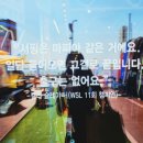 켈리서프