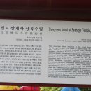 쌍계사 상록수림 Daum카페