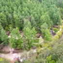 태백고원자연휴양림 자동차야영장 이미지