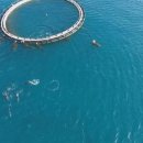 바다마중 이미지