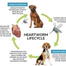 기장i동물의료센터 이미지