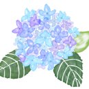 신시로-7 이미지