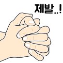 국제두피탈모