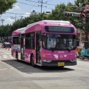 중앙초교 사거리 이미지