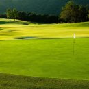 타이거CC 골프장 이미지