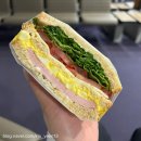 일본 교토 여행] 제주에어(7C1304), 하루카 열차, 이코카 카드, 서산초당, 아라시야마, 이자카야, 오니기리