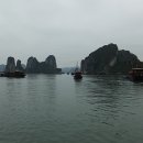 Halong (하롱) 이미지