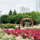 장미정원 이미지