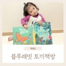 한글공부 창작그림책 동화책 그림자놀이 블루래빗 토끼책방 2호점 상상정원 오나의친구 잘난척쟁이공작나비