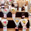 도심속작은자연flos
