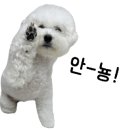 제주수보름