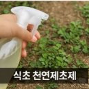 제초제 없이도 충분하다! 친환경 잡초 제거 7가지 방법