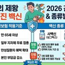 통증의 제왕 대상포진 백신 종류의 장,단점 건강보험, 무료접종 적용기준 이미지