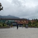 태주글로벌