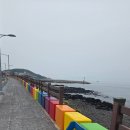 제주무지개 | 제주 도두동 무지개해안도로 찐맛집 [진고등어쌈밥] 내돈내산 후기