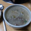 바다장어곰장어 티스토리