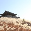 화서공원 이미지