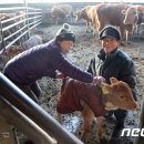 미동농장 이미지