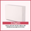 영진그래픽스 이미지