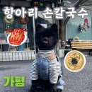 가평 애견동반식당 항아리손칼국수ㅣ수제반죽 장작불육수 닭칼국수 맛집 내돈내산