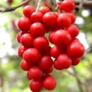 경희자연한의원 이미지